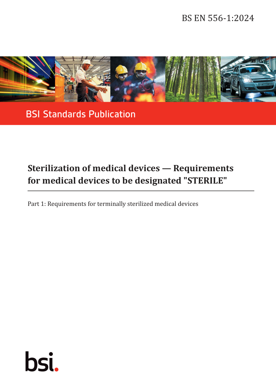 BSI BS EN 556-1:2024 PDF Preview