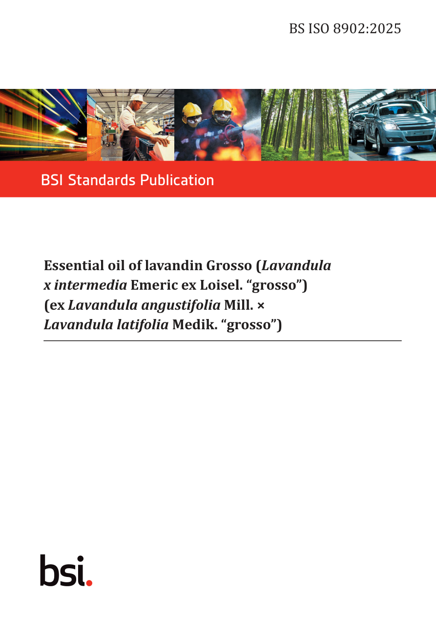 BSI BS ISO 8902:2025 PDF Preview