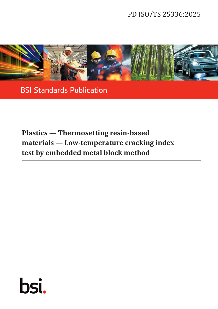 BSI PD ISO/TS 25336:2025 PDF Preview