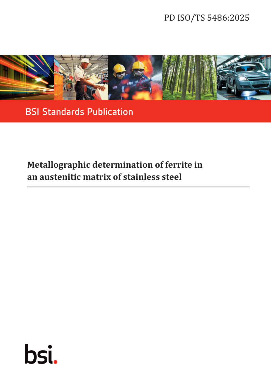 BSI PD ISO/TS 5486:2025 PDF Preview