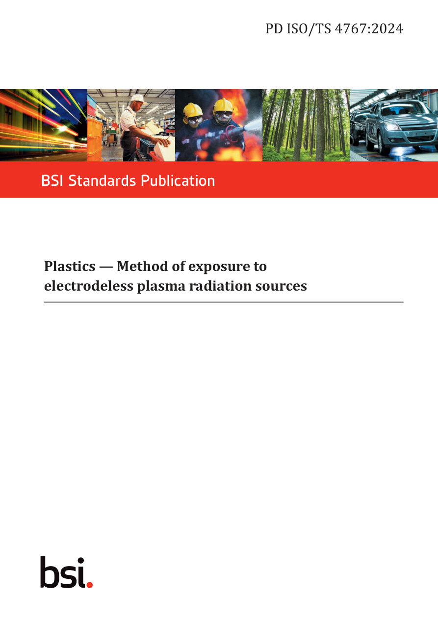 BSI PD ISO/TS 4767:2024 PDF Preview