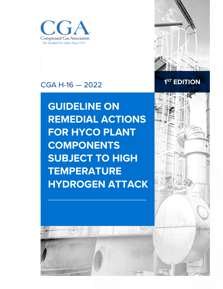 CGA H-16 1st Edition PDF Preview