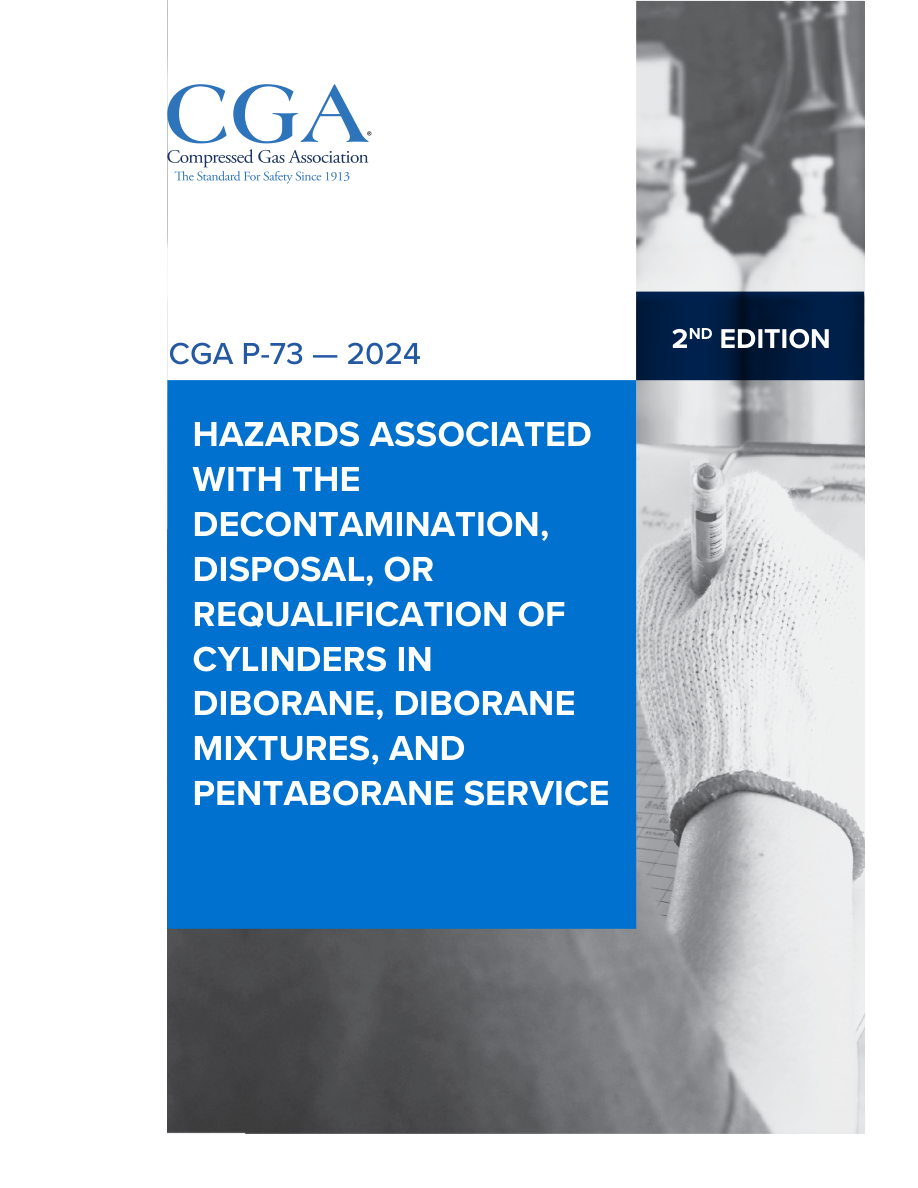 CGA P-73 2nd Edition PDF Preview