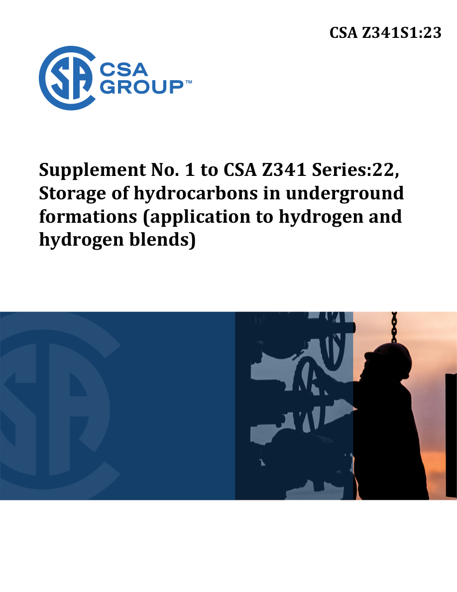 CSA Z341S1:23 PDF Preview