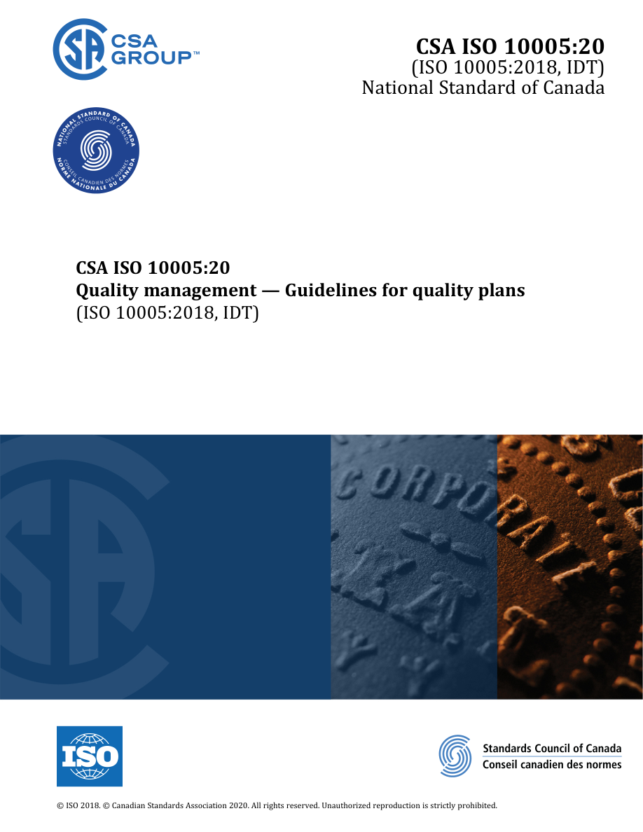 CSA ISO 10005:20 PDF Preview