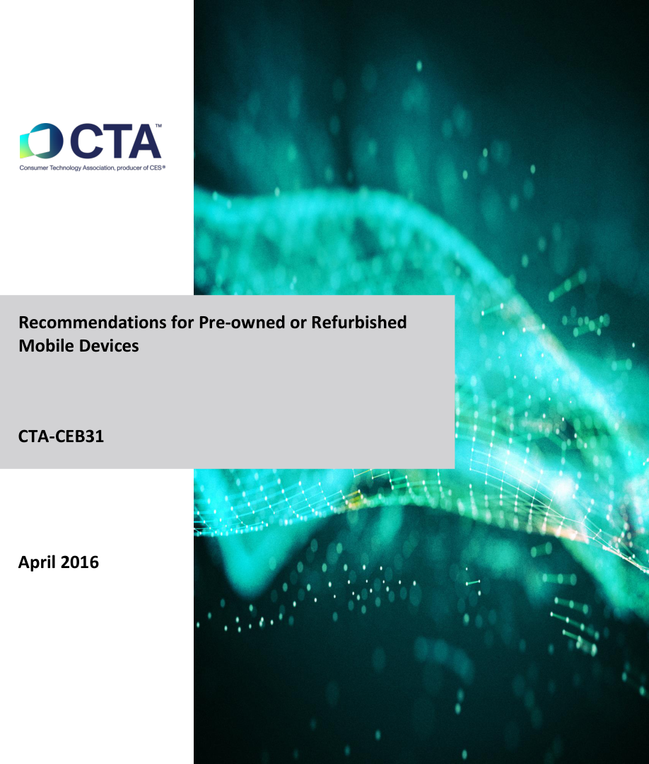 CTA CEB31 PDF Preview