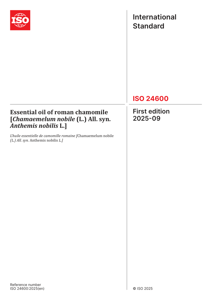 ISO 24600:2025 PDF Preview
